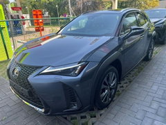 Lexus UX 250h