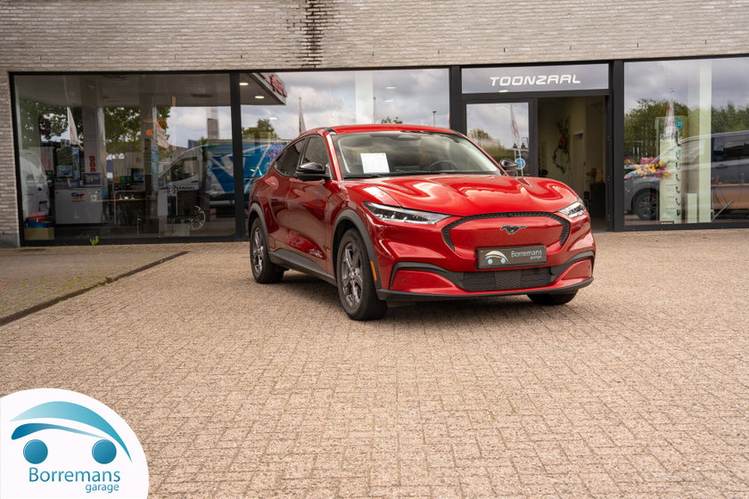 Ford Ander