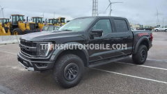 Ford F 150