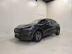 Ford Autre