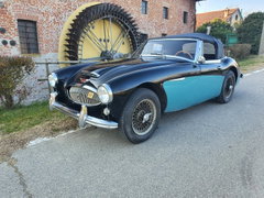 Austin Healey
